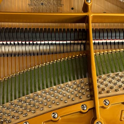 Bechstein A 1910 - Ebony Polish #97593 image 5