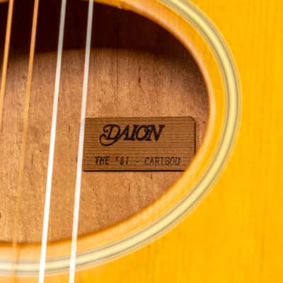 Daion The Year Series '81 Caribou - Tinted Tan (TAN) - Electric Acoustic Six String image 6
