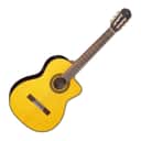 Takamine GC5CE NAT acoustic
