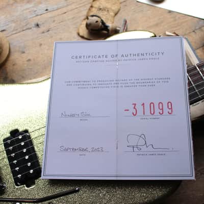 PATRICK JAMES EGGLE '96 Drop Top Gold Metal Flake "96 Drop Top Gold Metal Flake" HARDCASE and PAPERS, 3, 57 KG image 12