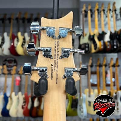Prs Se Custom 24 Faded Blue image 5