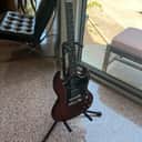 Gibson SG Special Faded with Ebony Fretboard 2002 - 2004 - Worn Brown with Hard Travel Case