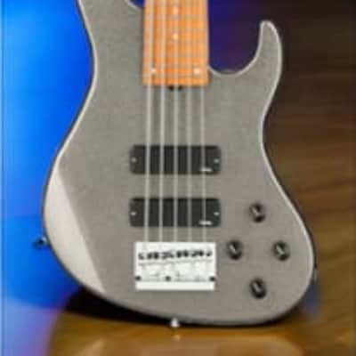 Sadowsky MetroExpress 5-String 24-Fret Modern Bass Roasted Maple Fingerboard 5-String Solid Silver Metallic High Polish image 2