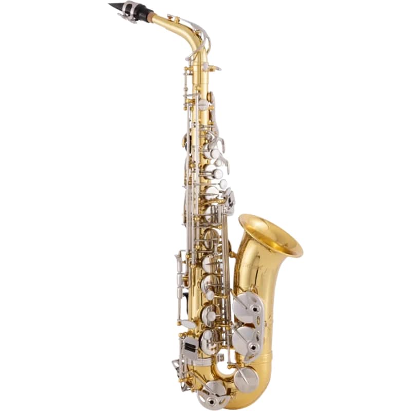 Selmer SAS202 Student Eb Alto Saxophone image 1