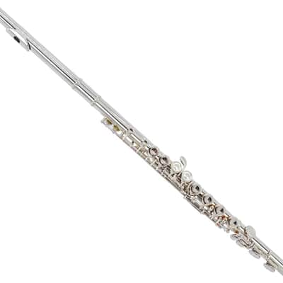 16 Key Closed Hole C Flute - Student Flute for Beginners,Easy to Play with Durable Design, Includes Carrying Case, Cleaning Kit, Gloves, Perfect for Learning(Silver) image 2