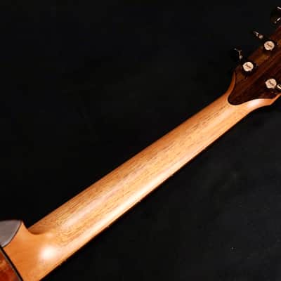 Taylor 2026 Catch Custom #41 C22ce Tasmanian Blackwood image 6