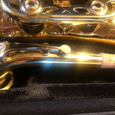 Apollo AAS 23 Student Alto Saxophone - Gold Lacquer image 8