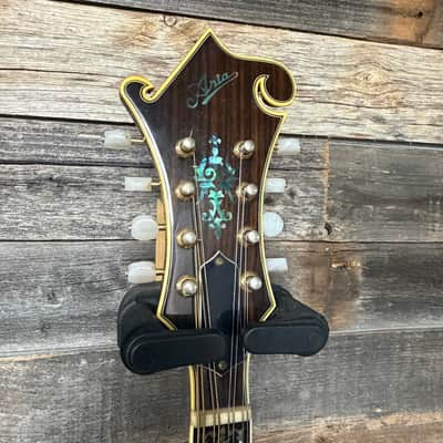 Aria Pro II Mandolin w/ case image 6