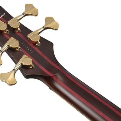Ibanez IV1SR Visions SR Electric Bass 5-String + Case image 15