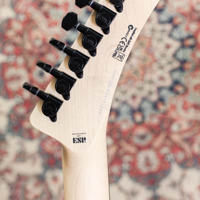 ESP LTD George Lynch | Desert Eagle Camo image 16