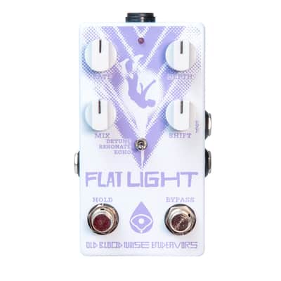 Old Blood Noise Endeavors Flat Light Textural Flange Shifter image 1