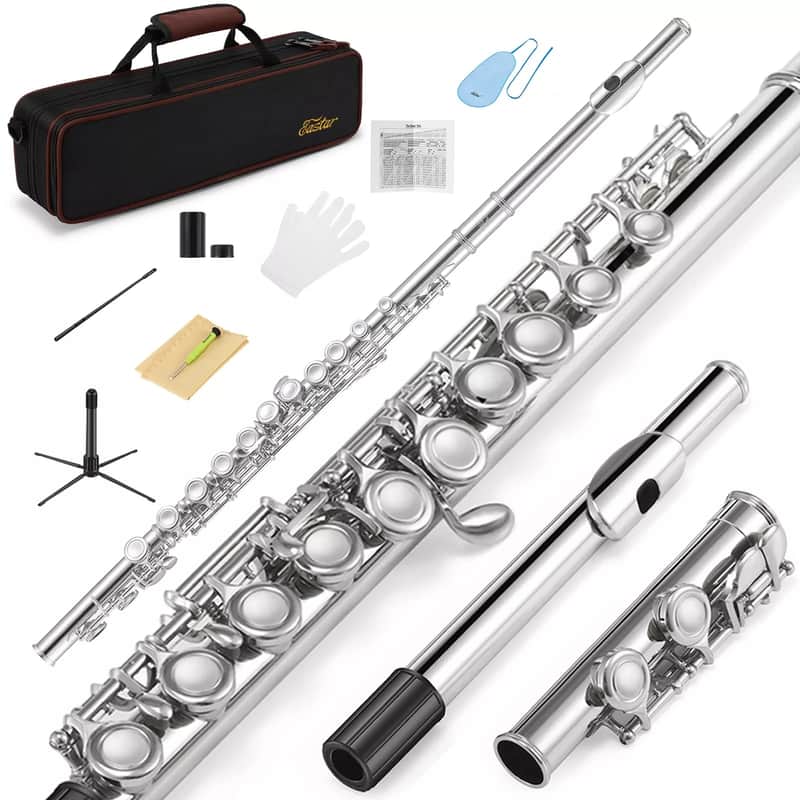Concert Flute – Student & Intermediate Band Flute with Case, Stand & Accessories image 1