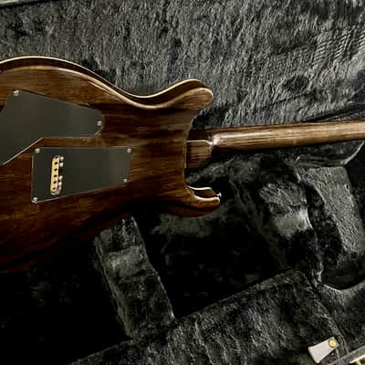PRS Special 22 Semi-Hollow Private Stock image 18