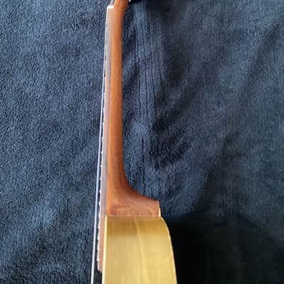 Immagine David Iriguchi Tenor Pineapple Ukulele with Case - 11