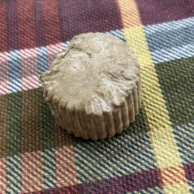 Vintage 1950s Beat-Up Relic Harmony/Silvertone Cupcake Guitar Knob image 2