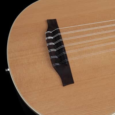 Godin Multi Oud Encore Nylon Natural SG with bag NEW Model # 037414 MultiOud image 3