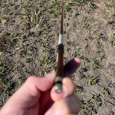 Pfretzschner Violin bow Silver Winding New Hair image 4