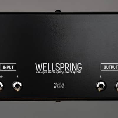 Teaching Machines Wellspring Stereo Spring Reverb image 6