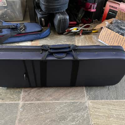 violin case. Full size image 7