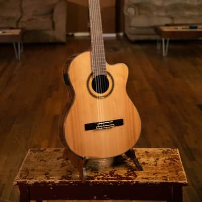 Ortega RCE159SN Performer Series Solid Cedar Top  Mahogany Neck Cutaway Nylon 6-String Classical Acoustic-Electric Guitar w/Gig Bag image 13
