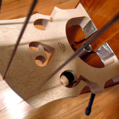 Alter Ego BASSO, hollow-body upright bass image 15
