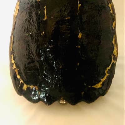 4 string Turtle shell slide guitar image 7