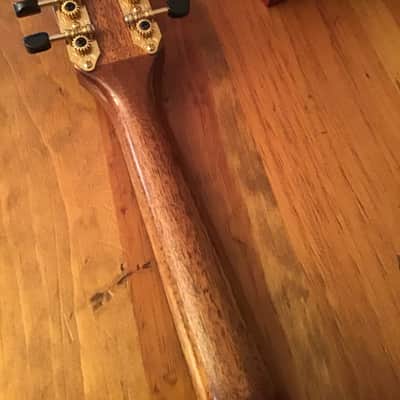 Rare Trinity College TM450, Carved Top, Solid Wood, Celtic Mandolin image 8