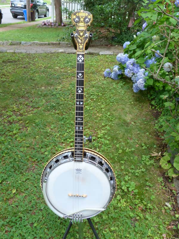 Jany tenor banjo image 1