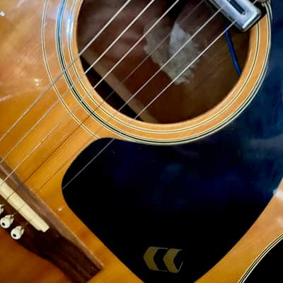 Aria Acoustic/Electric Dreadnought 1970's image 2