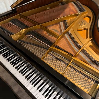 Schimmel Parlor Grand Piano 1970 - Ebony Satin image 8