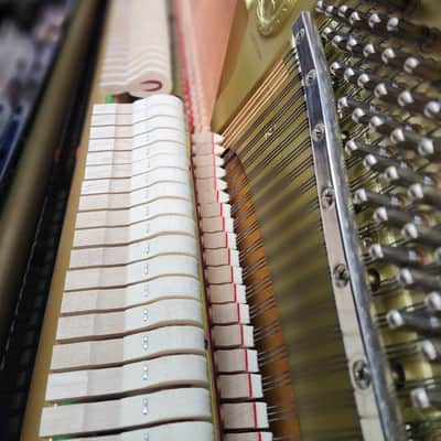 2006 YAMAHA DU1 / U1 (48") Upright Disklavier Player Piano + Record + Silent Feature. Rare & Scarce. Must See!! image 5