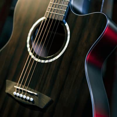 Washburn Deep Forest Ebony Ace Electro Acoustic Guitar image 6