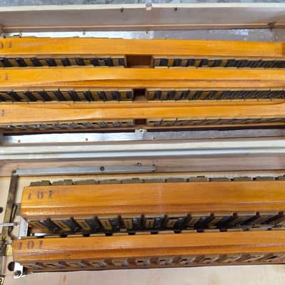 Immagine Scandalli 17" keyboard 3/4 reed auto bellows closure - 8