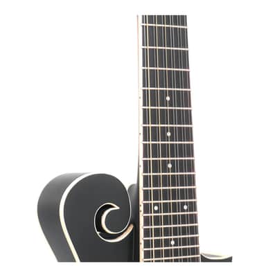 Gold Tone F-12: 12-string F-style Mando-Guitar with Pickup and Case image 5