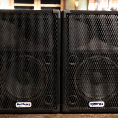 Bullfrog 1x12" PA Speaker with Tweeter (Pair) image 3