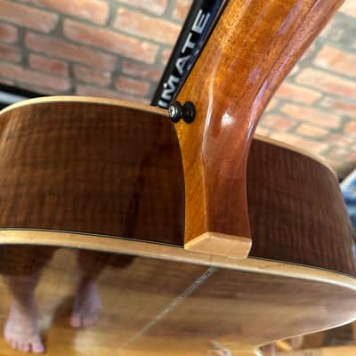 Circle Strings Acoustic Guitar 10-String Walnut and Sinker Redwood Rare Custom image 7
