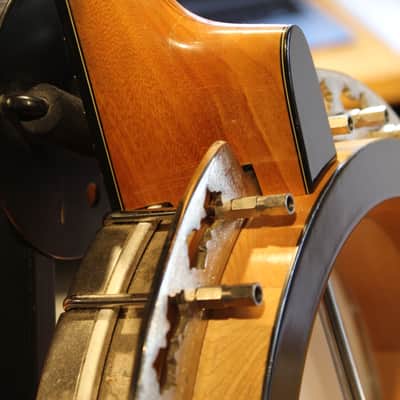 Stelling Bellflower 1977 - Rare Maple Version! image 17