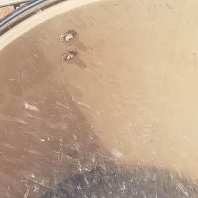 Sonor Force 2001 Drum Shells, 4pc - Matte Black image 3