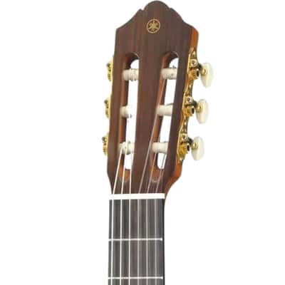 Yamaha Classical Guitar - Cedar Top image 3