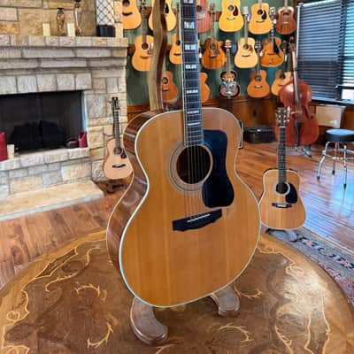 Guild F-50 Rosewood | 1975 Natural image 4