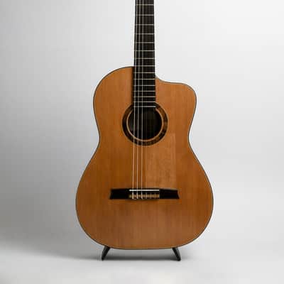 Made to order Handmade Guitar Crossover Solid Woods Brazil French Polish image 1