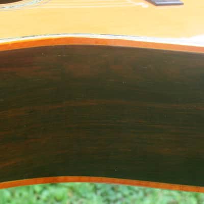 1976 Takamine Elite TW100 Jacaranda Body Natural+Vintage Hard Case image 15
