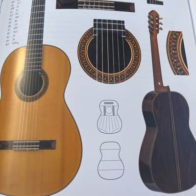 Ricardo Sanchez Carpio 1A classical guitar Brazilian Rosewood! 1A Rio 1995 - Nitro Lacquer image 17