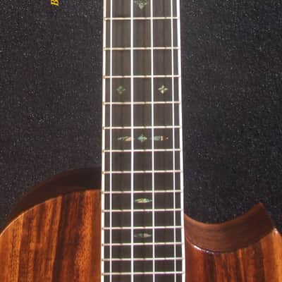 Handmade Cutaway Tenor Ukulele, Solid Acacia, Archback, Dog Inlay, Soft-bag, Bruce Wei UAJ17-2013 image 6