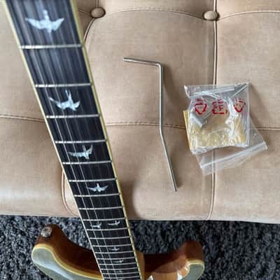 PRS 30th Anniversary SE Custom 24 2015 - Trampas Green image 2