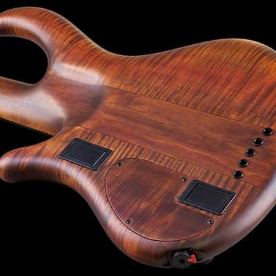 Mayones Patriot MR Fretless 5 Antique Brown image 2
