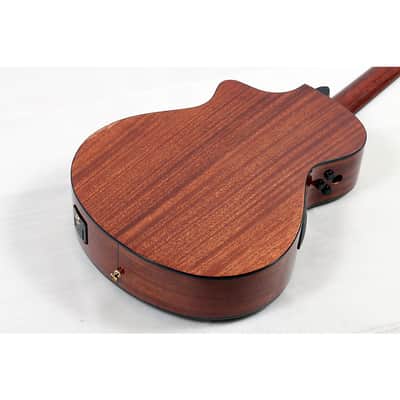 Breedlove Solo Pro Concert Nylon-String Classical Acoustic-Electric Guitar - Regular Edge Burst image 4