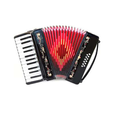 イタリアGUERRINI 626アコーディオン Guerrini Accordion With Hard Case 626 | Reverb