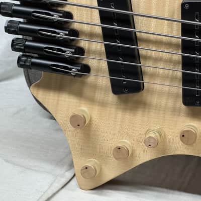 Strandberg Guitars Boden Original 5 Headless Multiscale 5-string Bass with Gig Bag 2019 image 4