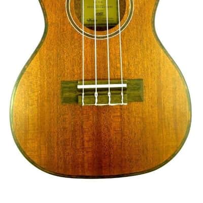 Journey UC310 - Solid Top Mahogany Concert Ukulele with Case image 2